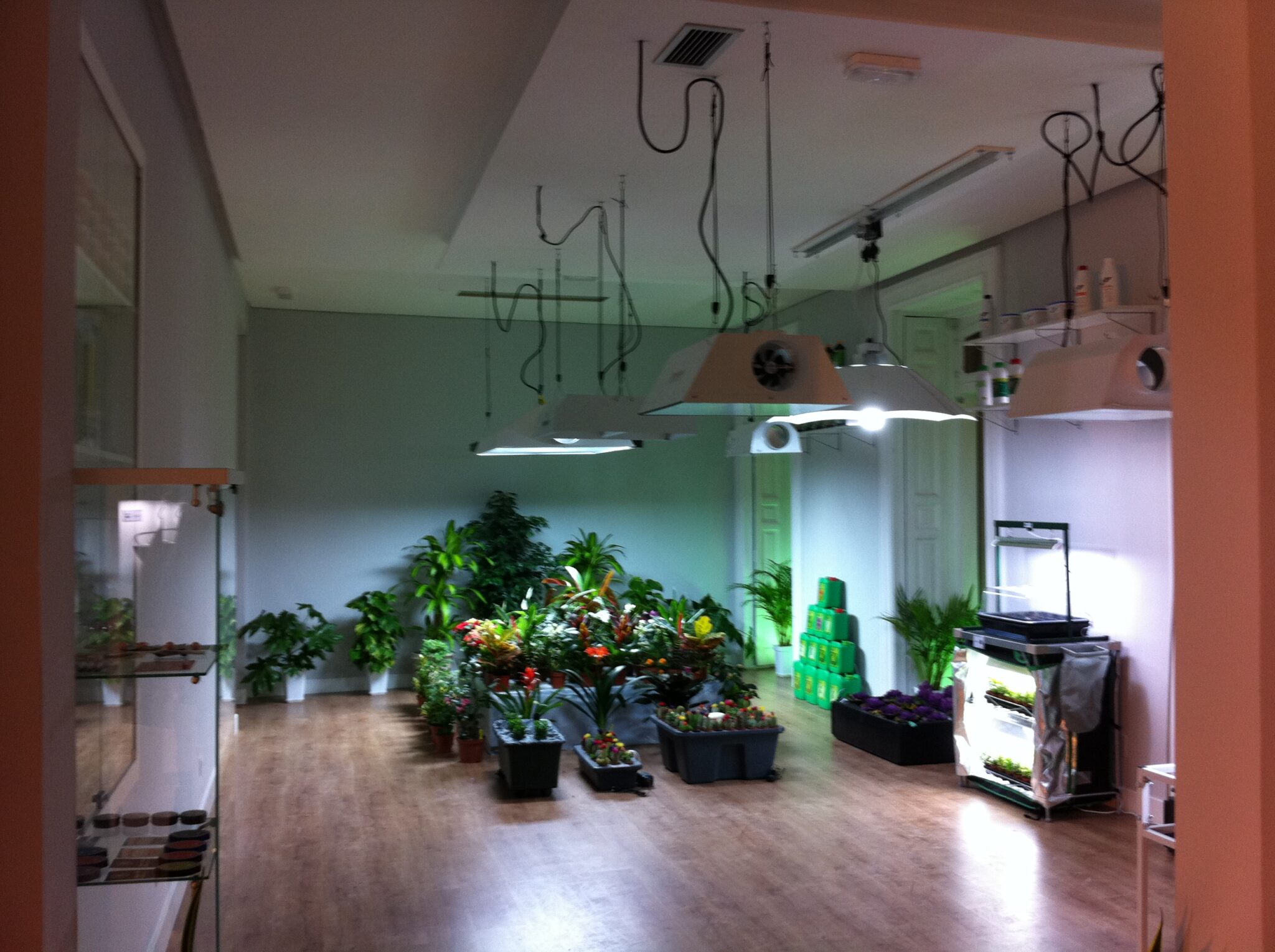 pot-shop-7
